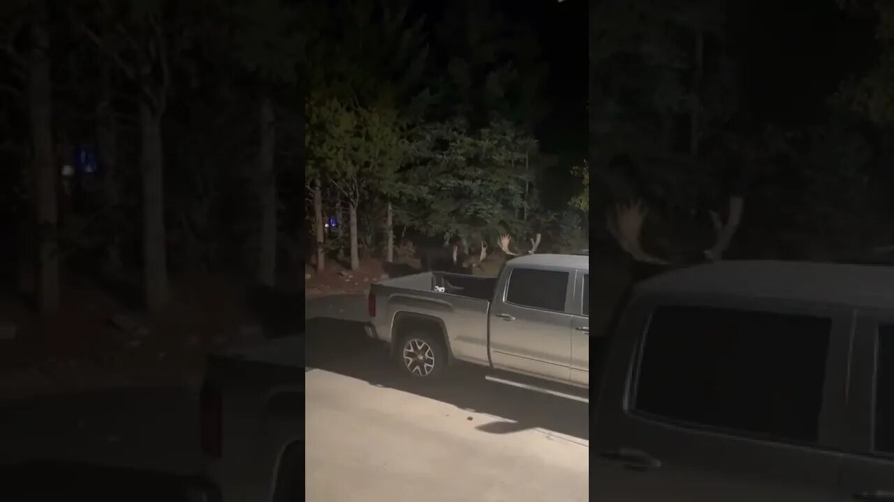 No way insurance believing this