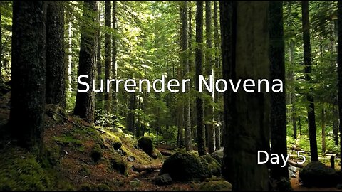 Surrender Novena - Day 5