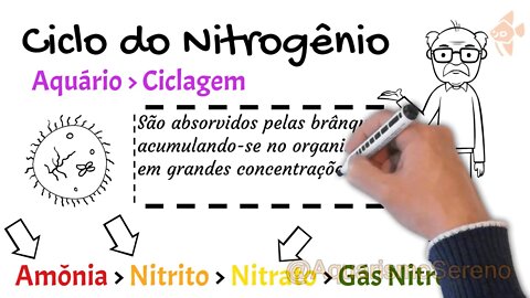 🔴Como CICLAR AQUÁRIO de Água Doce - ZERE Amônia, Nitrito e Nitrato - Domine o Tema em 14 Minutos!