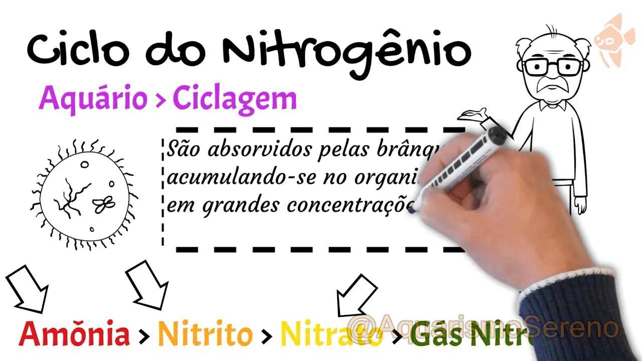 🔴Como CICLAR AQUÁRIO de Água Doce - ZERE Amônia, Nitrito e Nitrato - Domine o Tema em 14 Minutos!