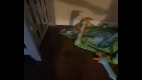 What's in the crib with that baby?