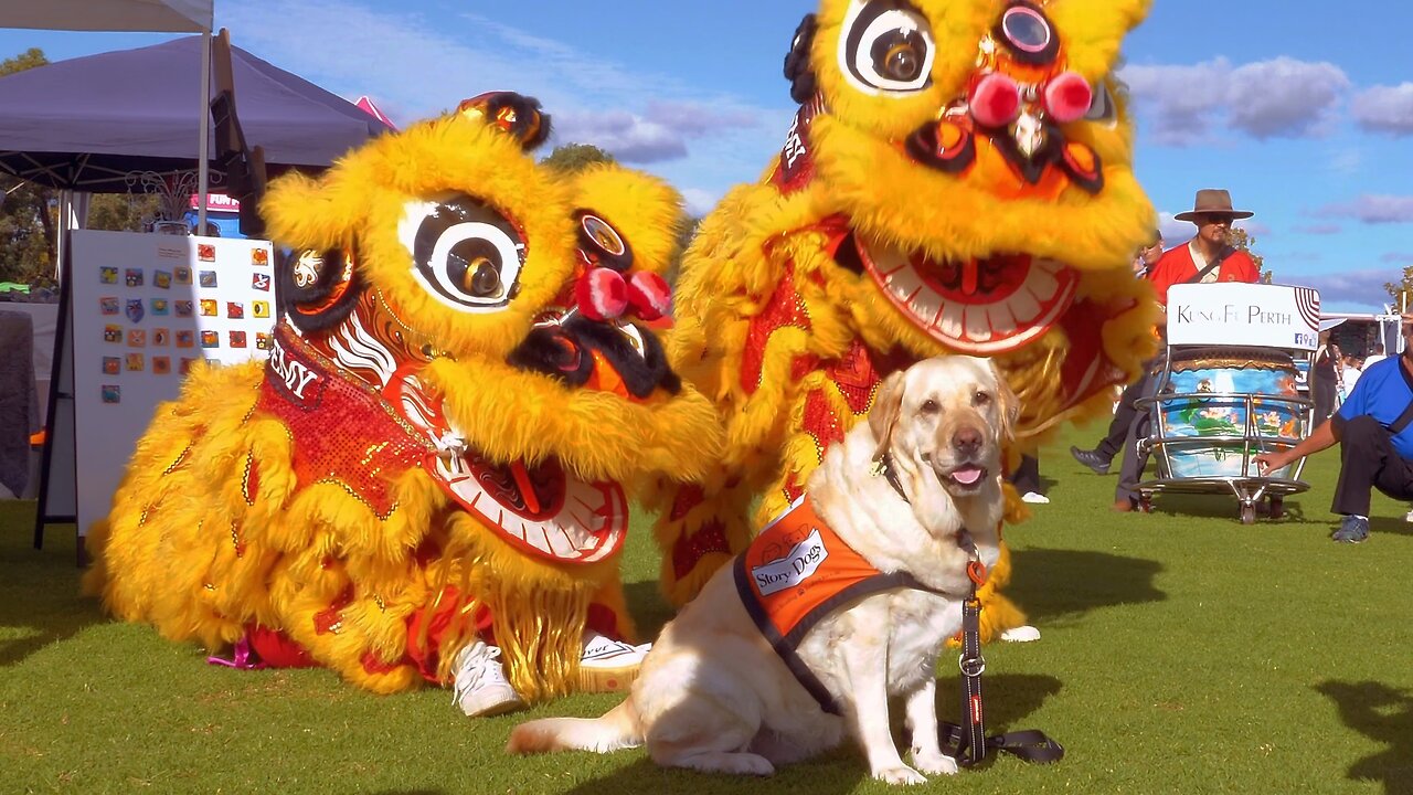 Lion Dance Cockburn Cultural Fair Celebration in Western Australia