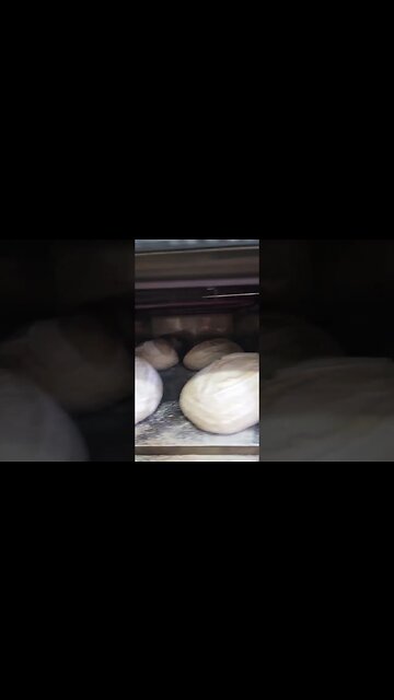 PICO PLUS THE BEST MICRO-BAKERY OVEN #sourdough #lievitomadre #bread