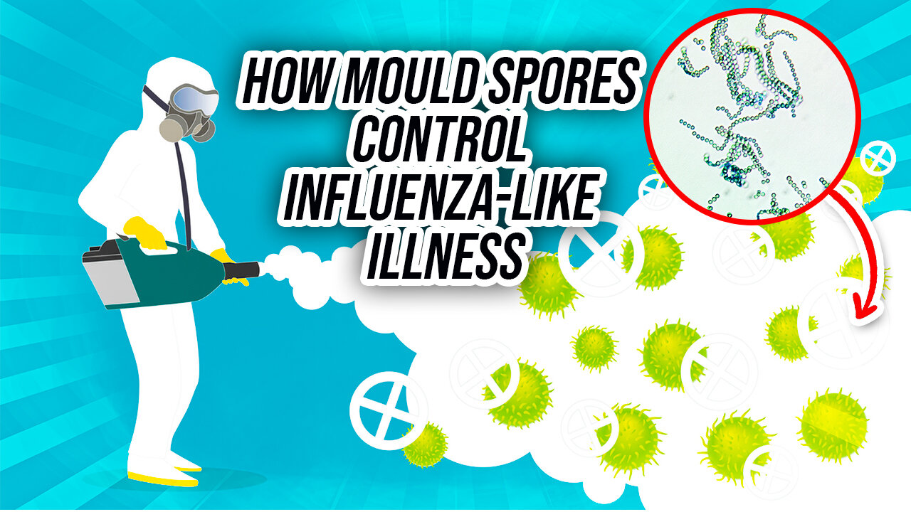 How Mould Spores Control Influenza-Like Illness