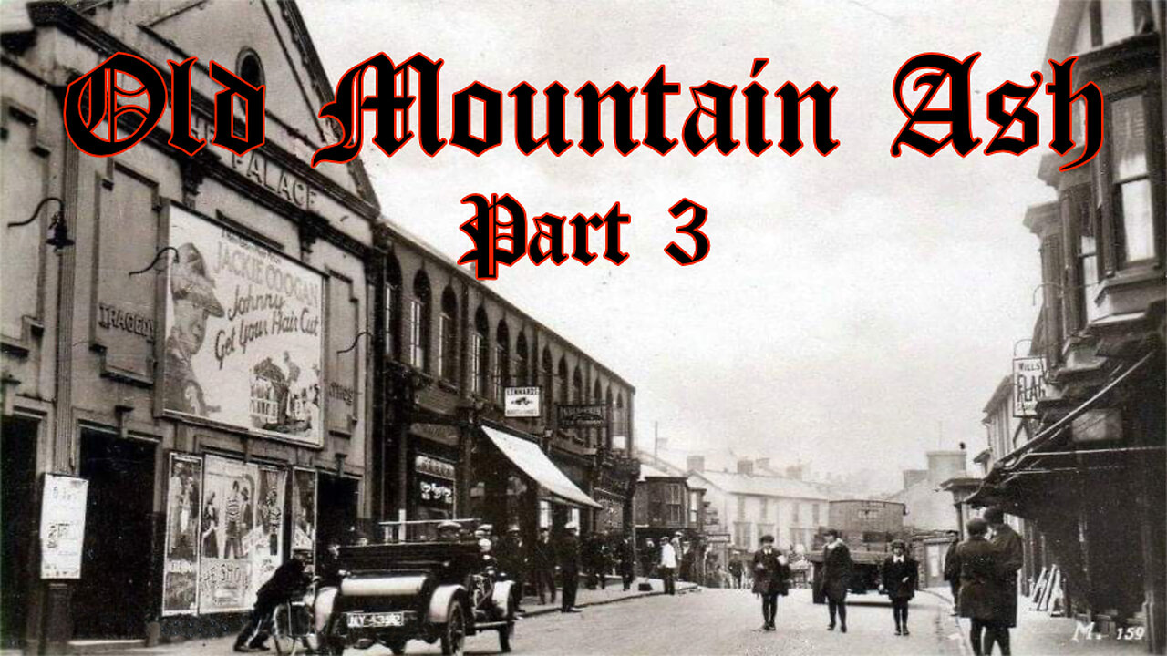 Old Mountain Ash Part 3