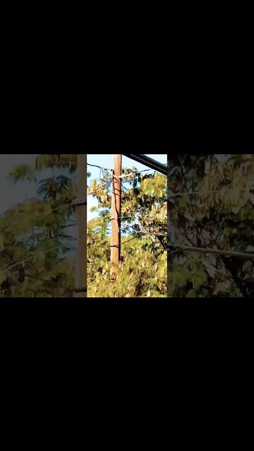 "İ Đö Ñøt бәхәсләшегез "