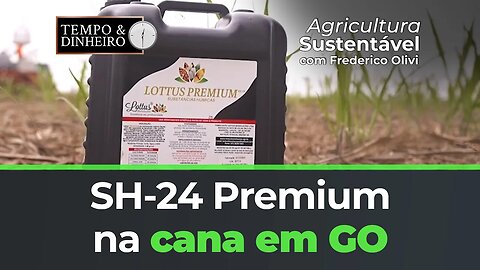 SH-24 Premium na cana em GO