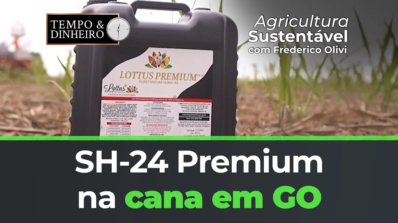 SH-24 Premium na cana em GO