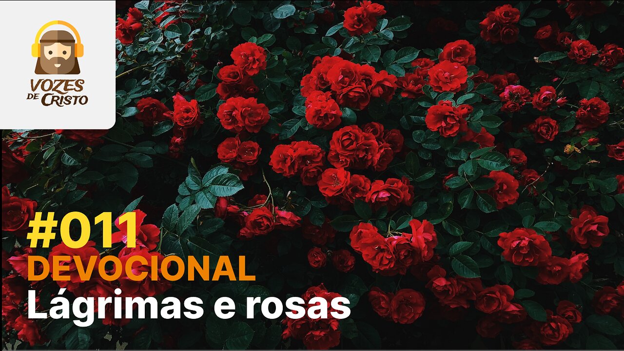 #011 - Devocional: Lágrimas e rosas