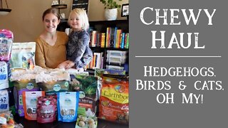 Chewy Unboxing | Cats, Bird, Guineas, Hedgehog and More!