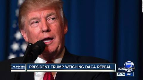 President Trump weighing DACA repeal