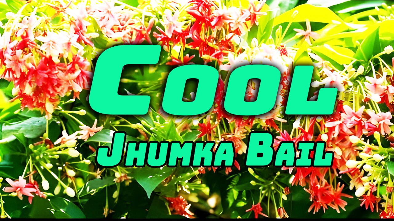 Cool