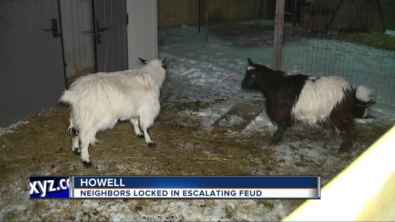 Chickens, goats, and bright lights leave neighbors fuming and feuding