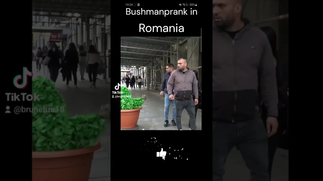 Bushman prank