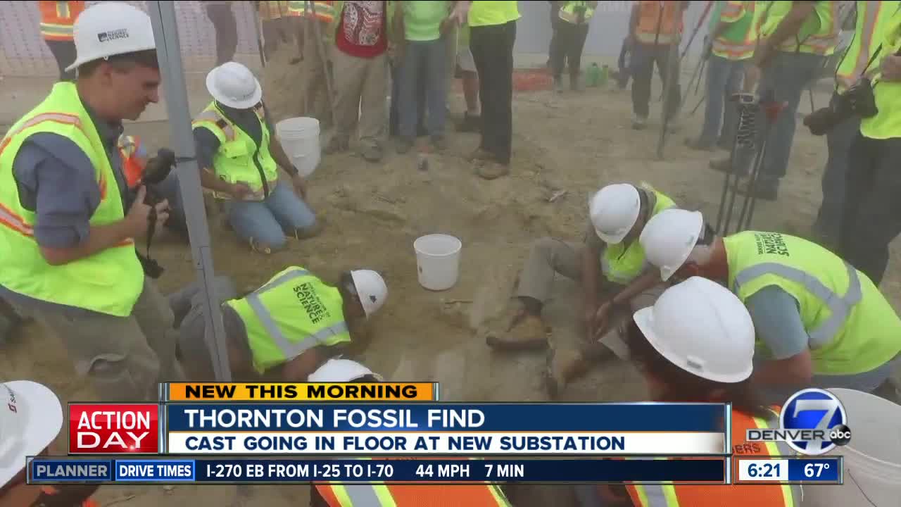 Thornton dinosaur cast returning to substation