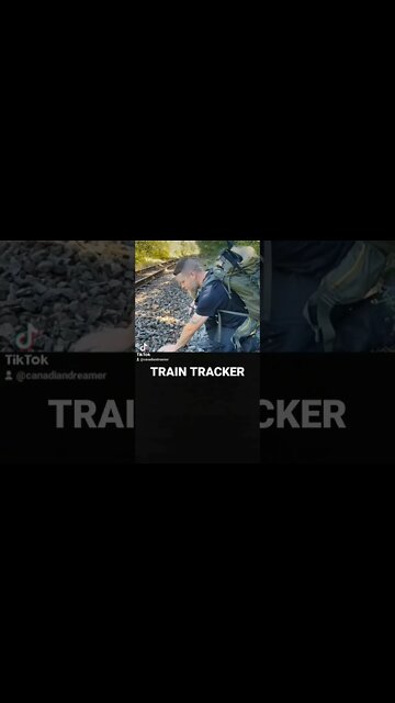 The Train Tracker