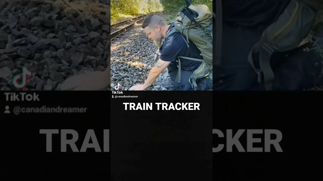 The Train Tracker