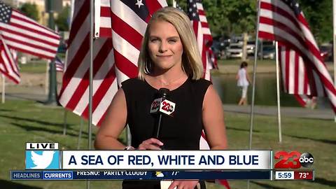 Thousand Flags for Memorial Day Weekend