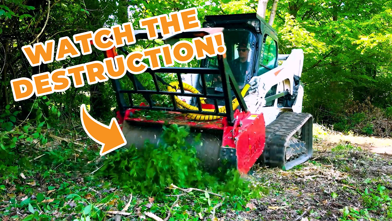 Watch Us Conquer This OVERGROWN Mess!