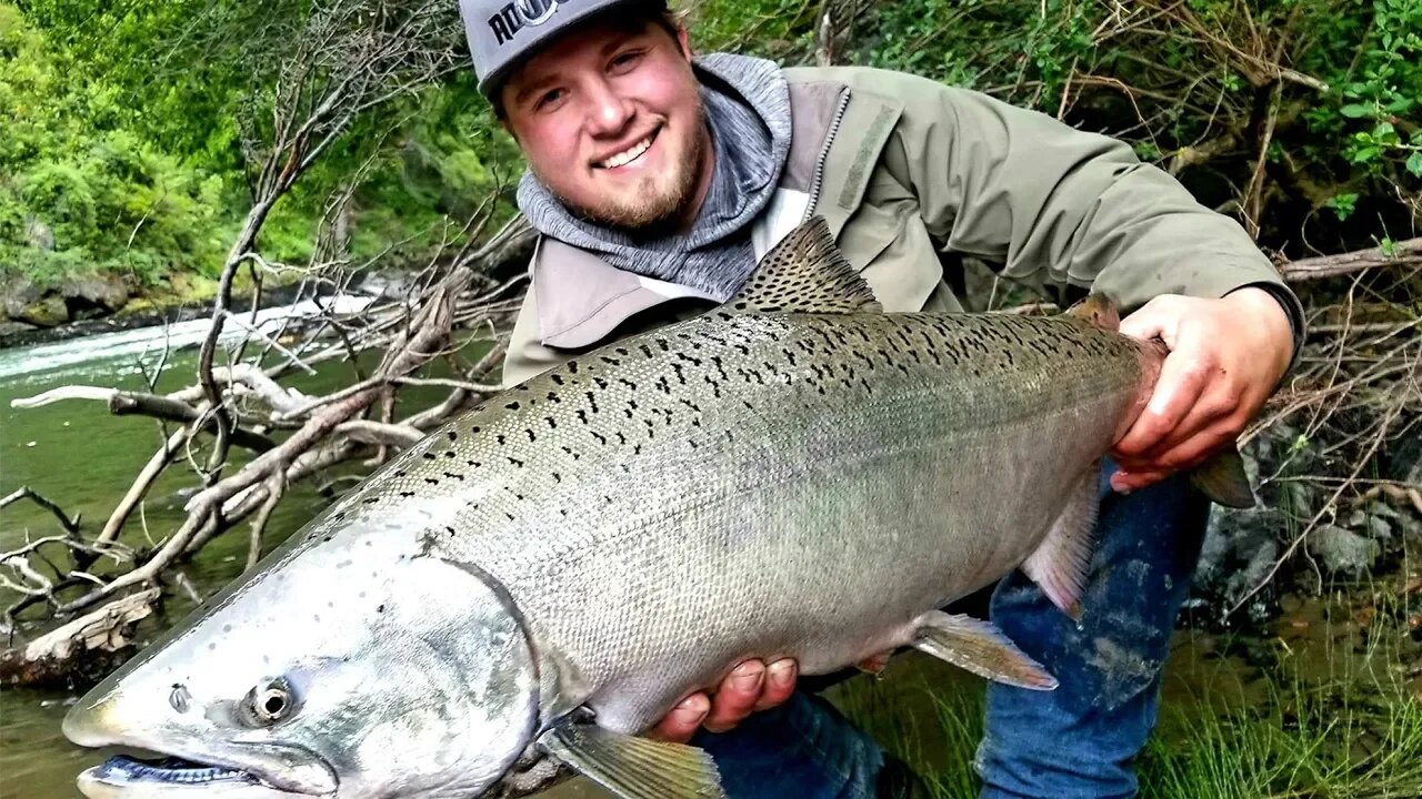 Patagonia Fishing Adventure - Chile Salmon & Brown Trout Fishing