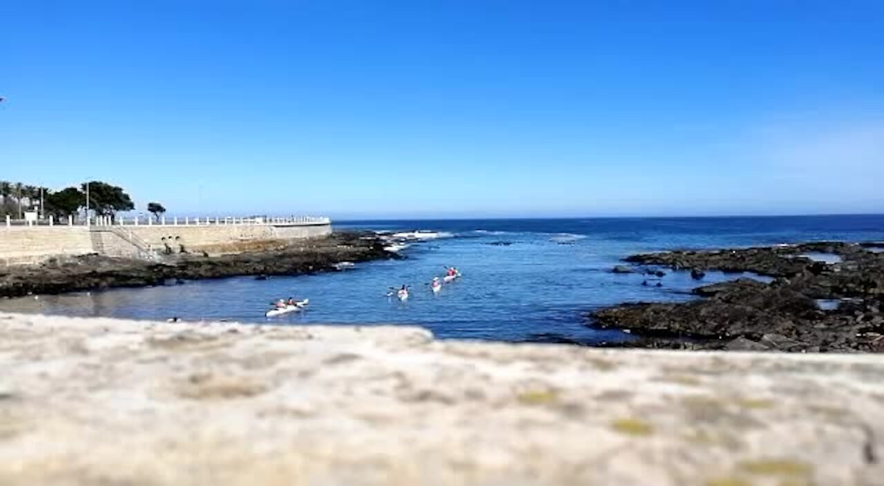 SOUTH AFRICA - Cape Town - Table Bay Kayaking (Video) (MuA)