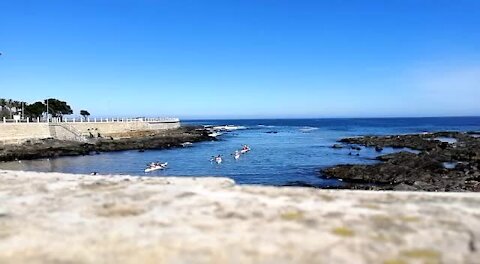 SOUTH AFRICA - Cape Town - Table Bay Kayaking (Video) (MuA)