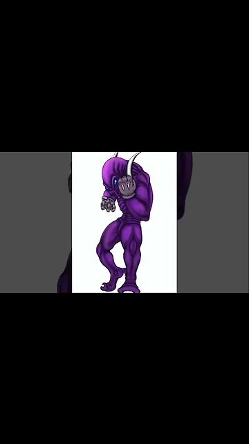 Envor - Timelapse short