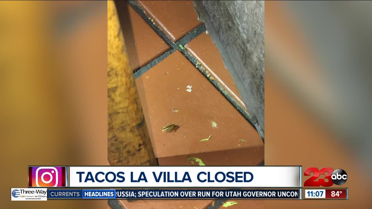 Tacos La Villa closed for health violations including live cockroaches in food area