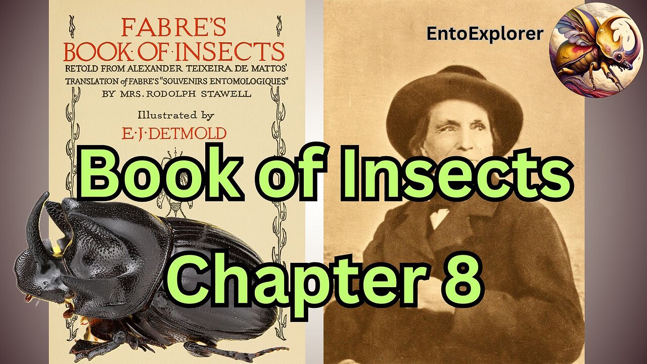 Life of the Spanish Copris Beetle - Book of Insects Chapter 8 by Jean Henri Fabre