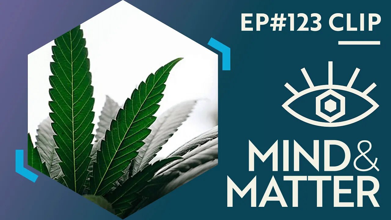Effects of Marijuana, THC & Cannabinoids on Brain Development