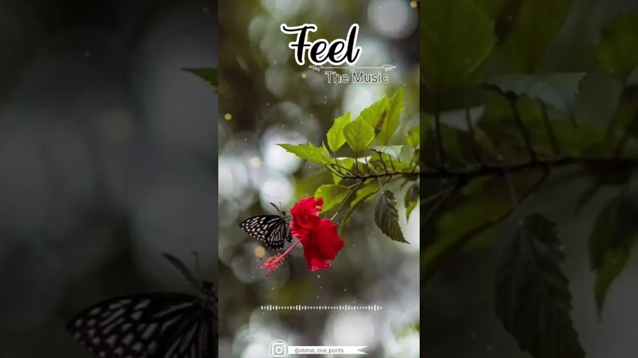apna bana le....♥️✨#reelkarofeelkaro #edit #explore #explorepage #love #instagram #editing