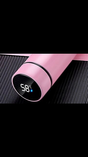 Smart Stainless Steel Thermos with Temperature Display