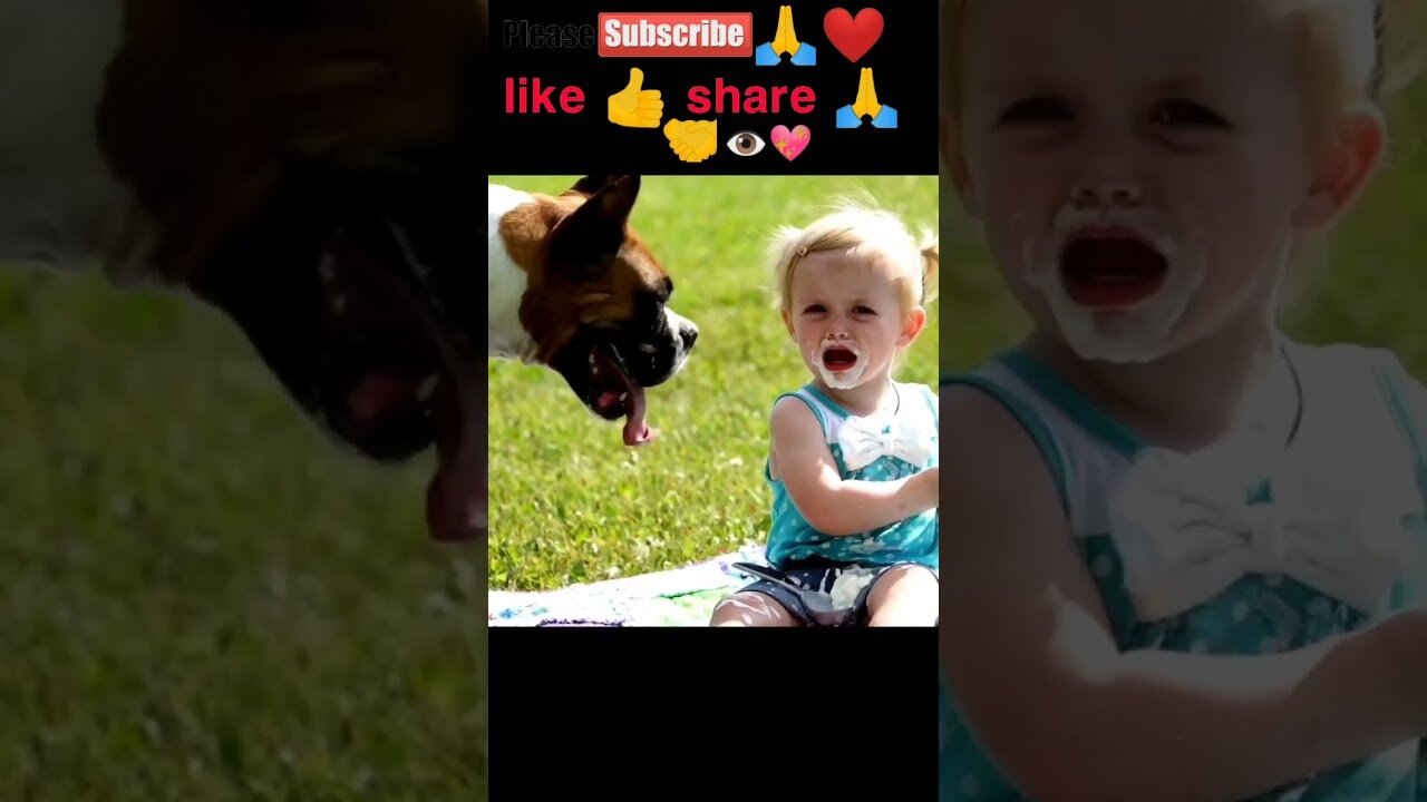 Boxer dog vs little girl ice cream fight #short#youtubeshort#shortvideo