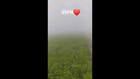 #punjab punjabi #trendingreels