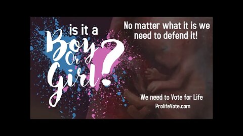 Wow it's a Gender Reveal! Will you defend her?