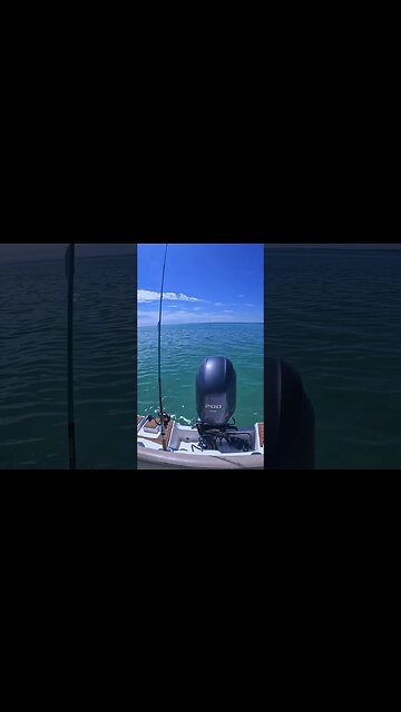 🏝️ Boat Drinks 🍹 Cheers for Jimmy Buffett from Margaritaville🏝️ #jimmybuffett #nestkey