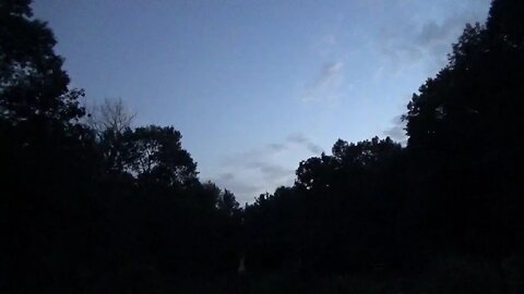 Saturday Helping Friends & Peaceful Homestead Evening