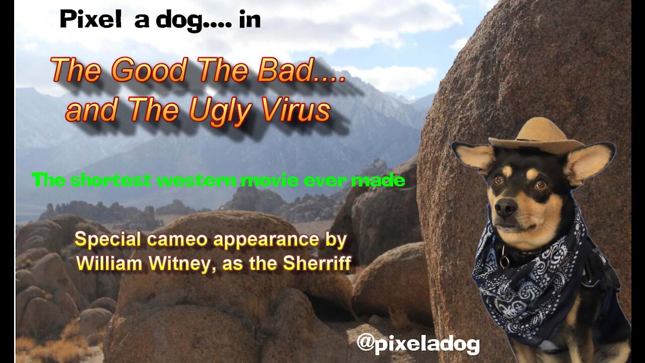 Pixel a dog...The Good The Bad and The Ugly VIRUS