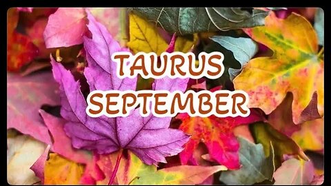 TAURUS ♉️