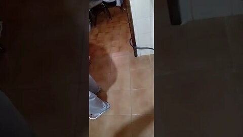 pizza, pão, Bolos, bread