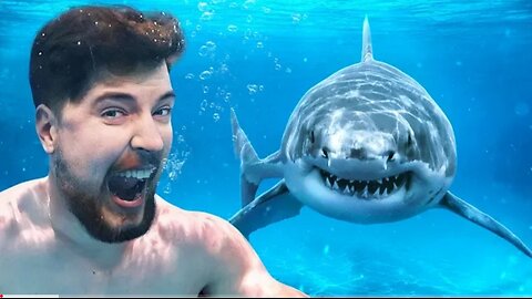 would you swim with sharks for $100,000?