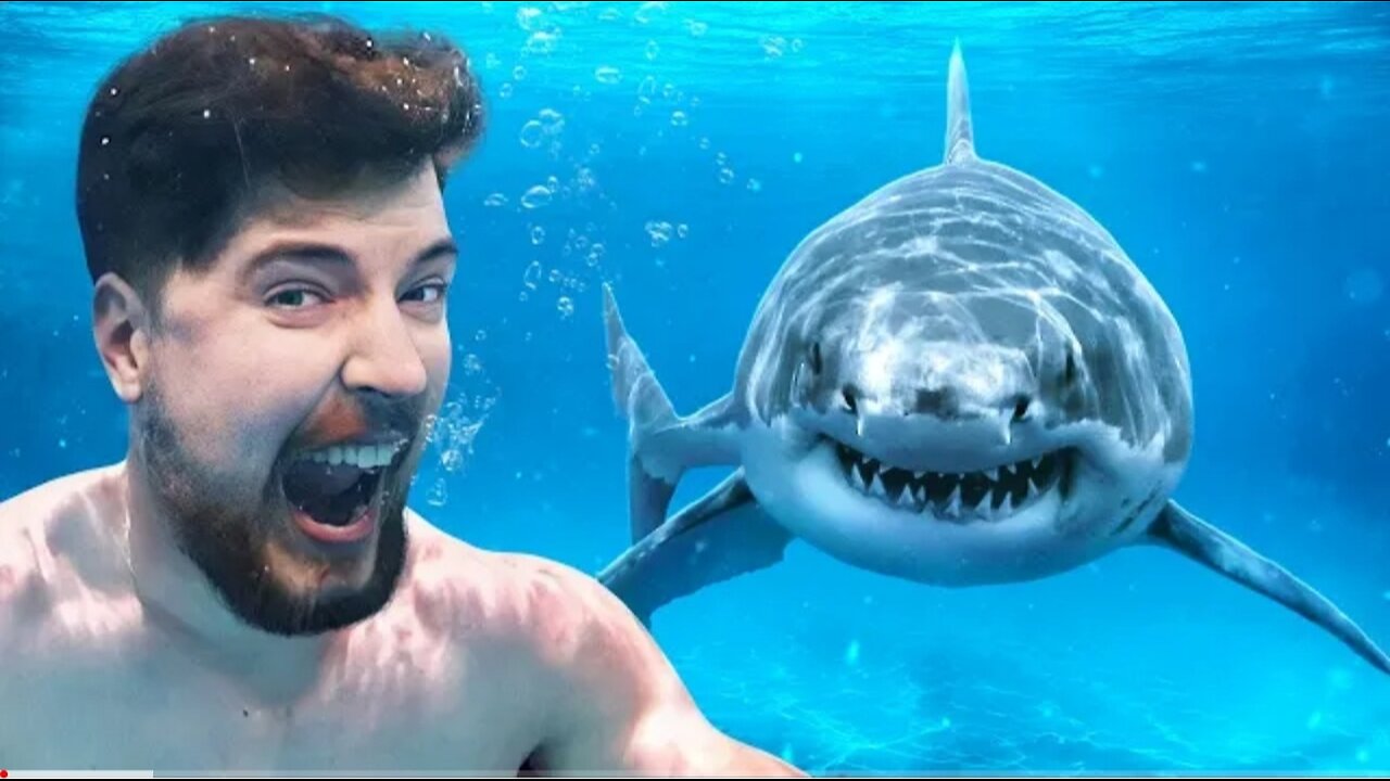 would you swim with sharks for $100,000?