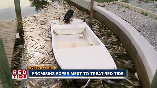 Scientists experiment with new tool to fight red tide in canals