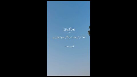 Surah Imraan | Urdu Translation Of Quran Surah Imraan #surahimran #quran #islam #islamic_video