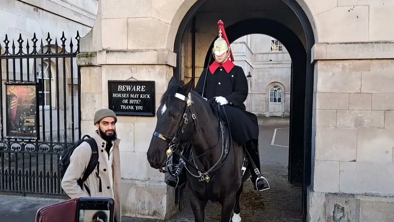 Horse nips many people #horseguardsparade