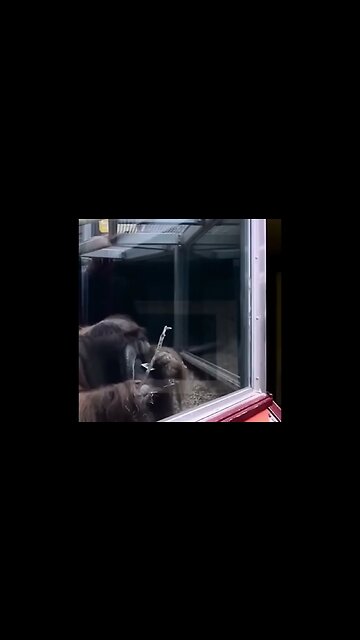 THIS IS A DEMONIC😈MAGICIAN AT WORK👀🤬🙏