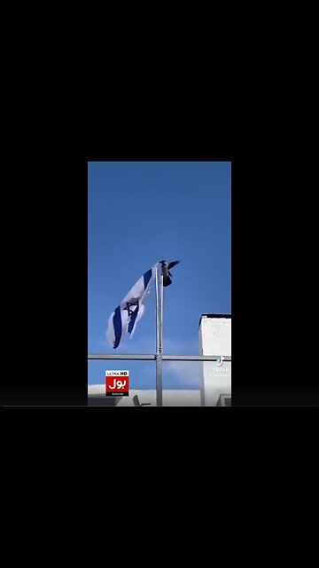 Anti-Semite Crow 🤓