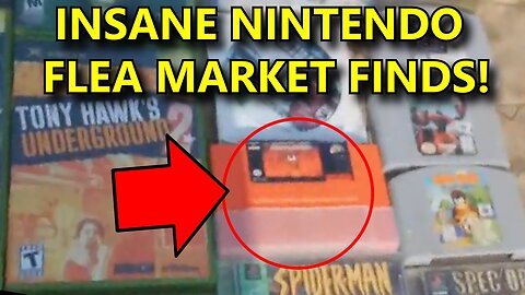 RARE NINTENDO FLEA MARKET FINDS! - ABrandonToThePast