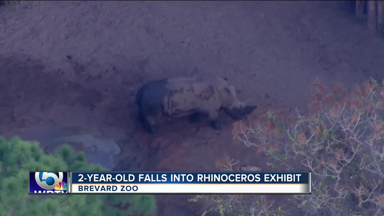 Toddler hurt falling into rhino exhibit at zoo in Brevard County