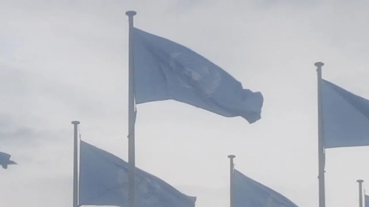 #exposethe28 UN Flags Fly In Canberra.